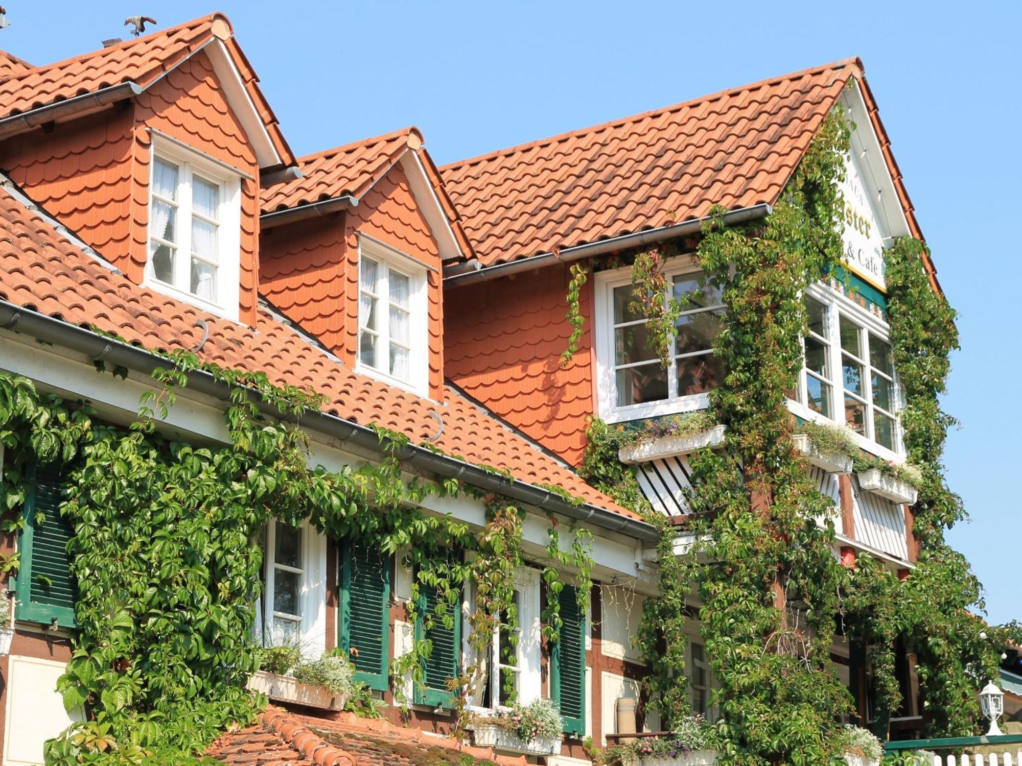 Landgasthof & Landhaus Hofmeister Diemelsee 외부 사진